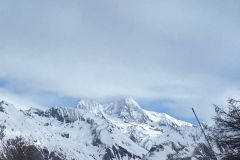 IMG-20240822-WA0017