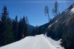IMG-20240822-WA0020